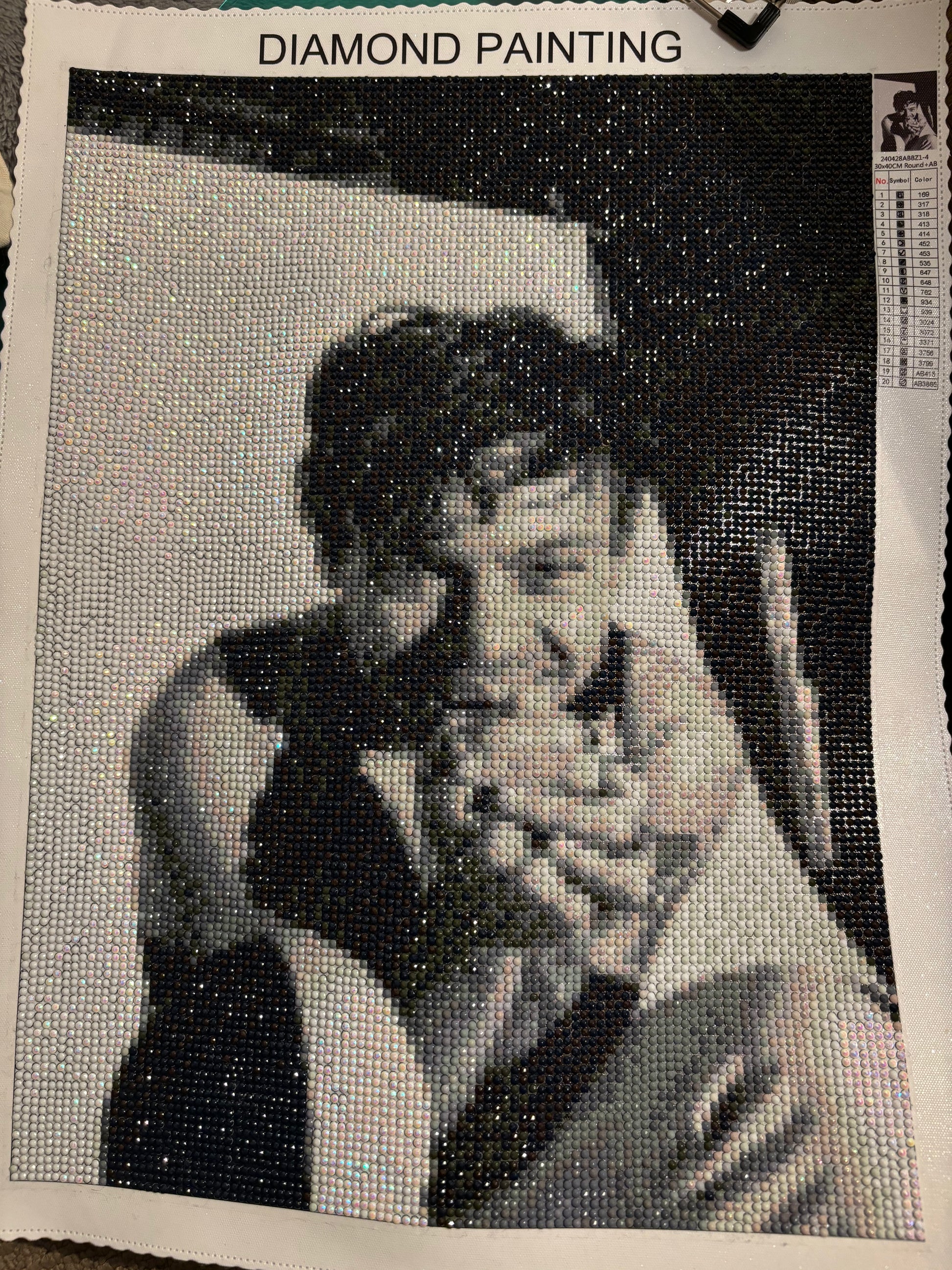 Harry Styles inspired Diamond Art - Belfair Designs