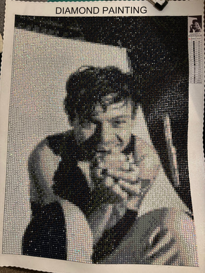 Harry Styles inspired Diamond Art - Belfair Designs