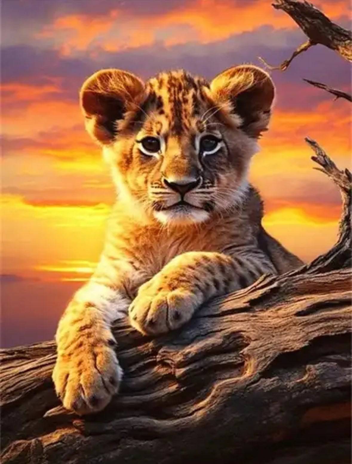 Lion Cub Diamond Art Kits - Belfair Designs